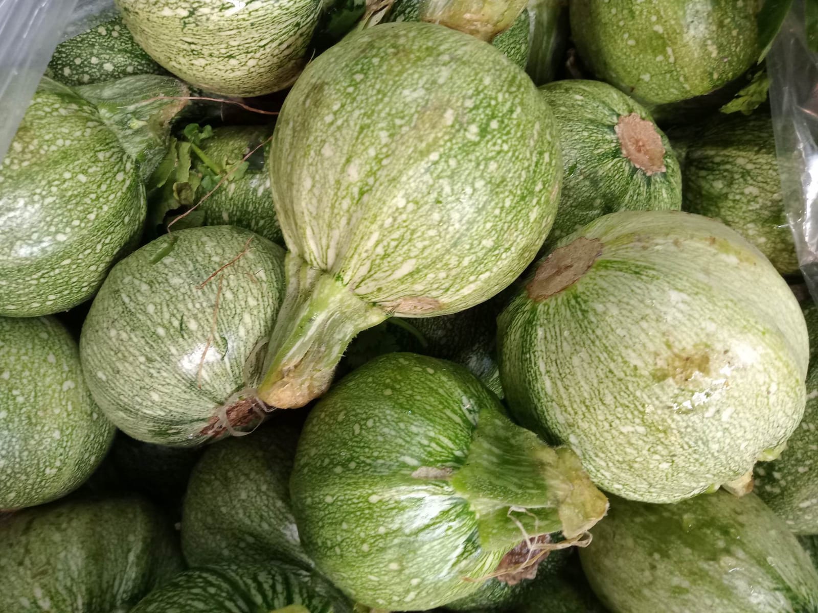 calabaza