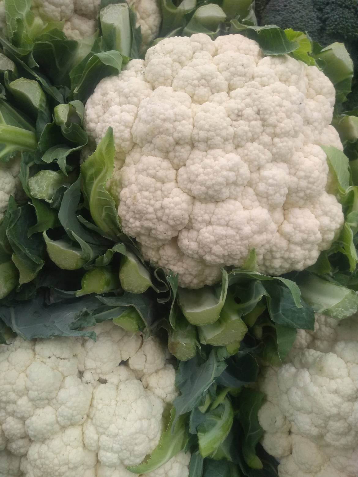 coliflor