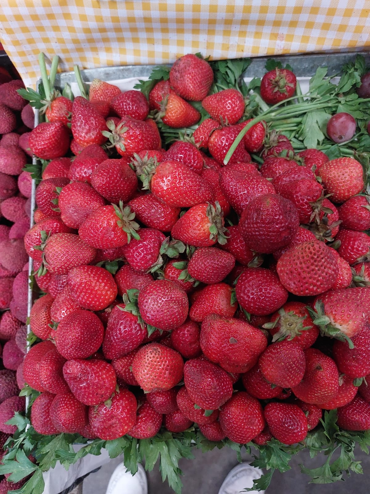 fresa