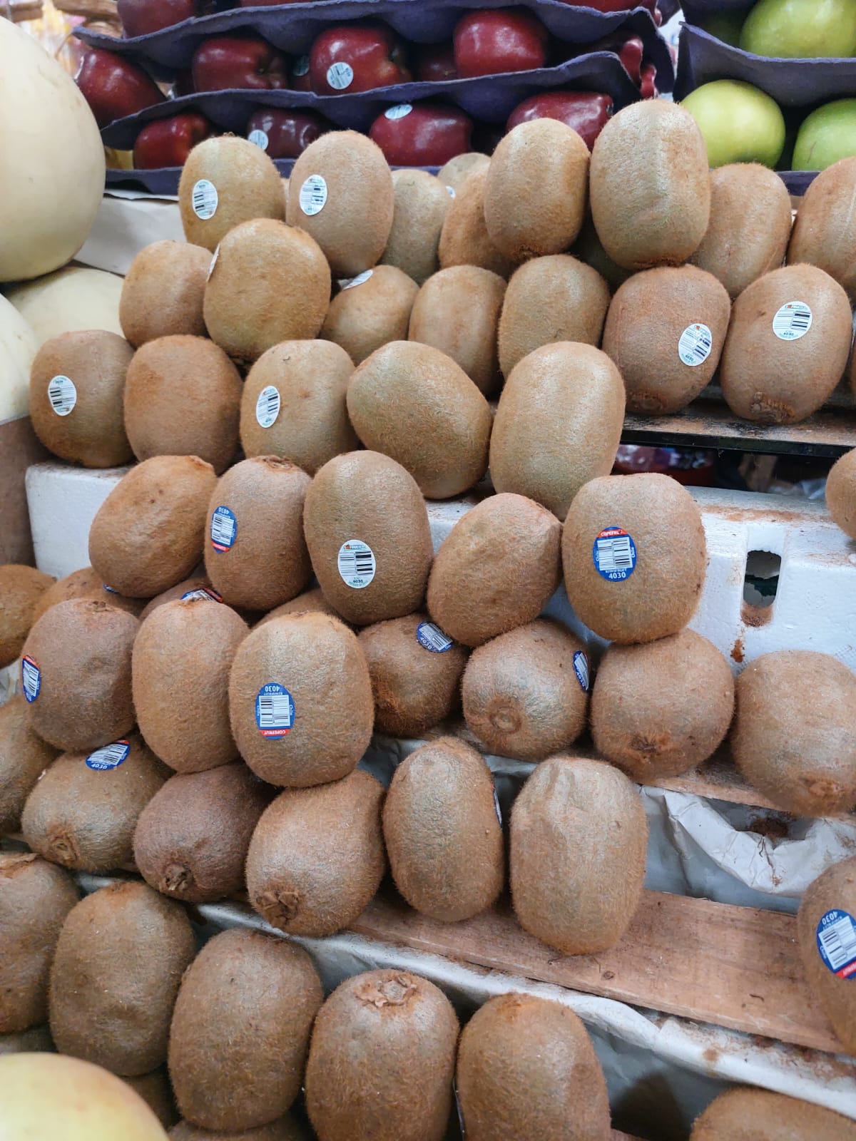 kiwi