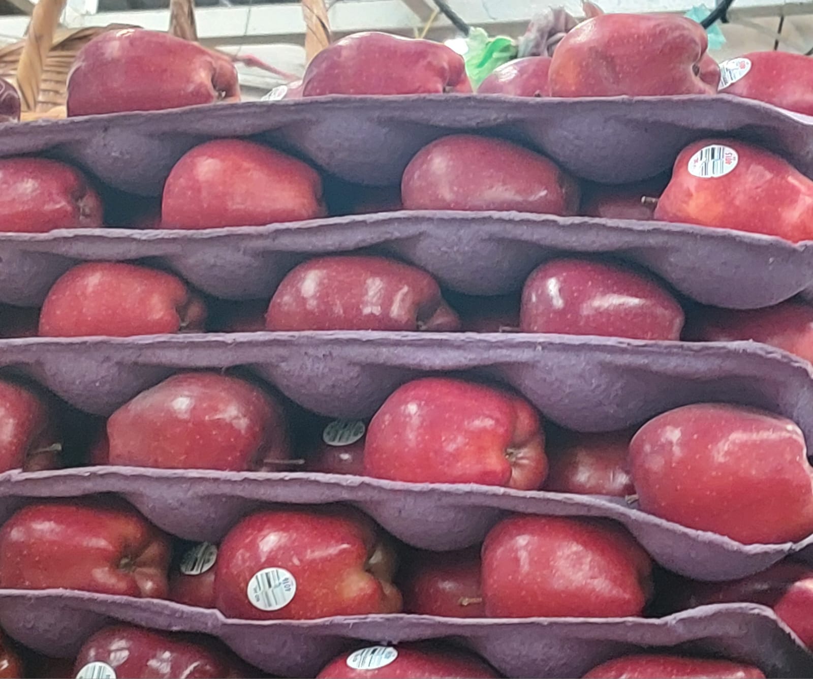 manzana