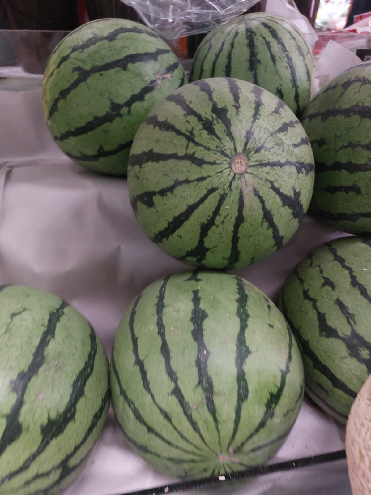 sandia